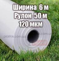 Пленка прозрачная (высший сорт) 6м ширина, 50м длина, 120мкм